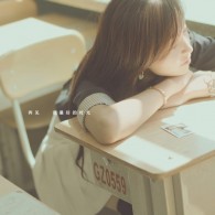 49ͼɫ汾װ